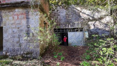 Račiška pečina, vhod